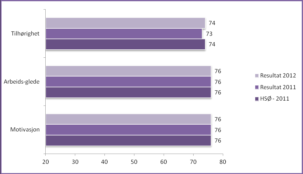 Arbeidsglede og motivasjon: Temaene i dette hovedområdet viser i hvilken grad medarbeiderne opplever MOTIVASJON, ARBEIDSGLEDE og TILHØRIGHET til arbeidsplassen.