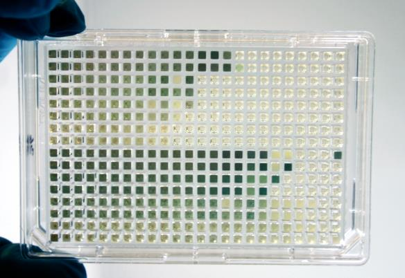 partnere) SINTEF bidrar med high throughput screening Resultater nylig presentert på en stor internasjonal konferanse