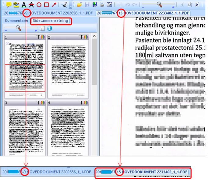 PIXVIEW PixView er programmet vi bruker til å lese skannede dokumenter. Når du åpner et dokument som beskrevet under «åpne et dokument i dokument-listen» kommer dette dokumentet opp.