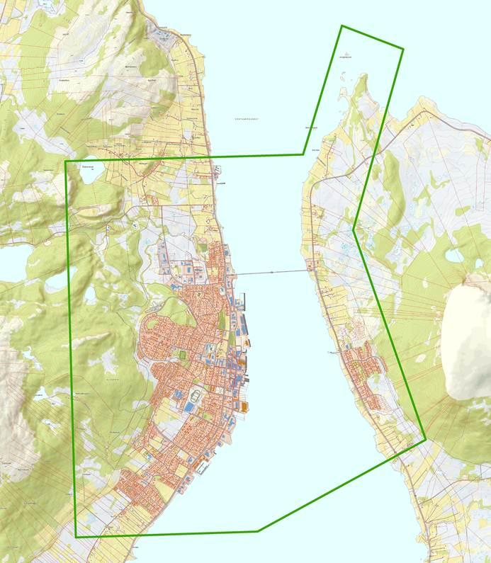 Hvilken strategi skal velges for framtida?