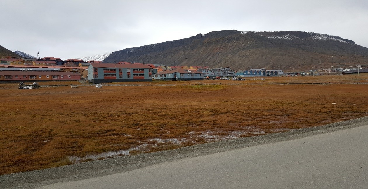 Permafrost - Svalbard Forskning relatert til Adventdalen («kald permafrost», sand og silt) Vei fyllinger Erosjonssikring i elv Fundamenteringsløsninger Kunstig