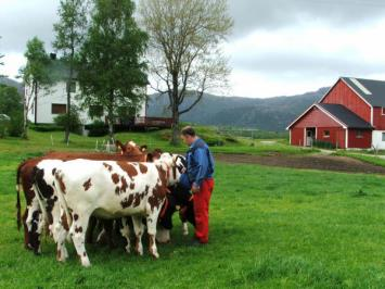 være det mest robuste landbruket vi kan ha, og med all sannsynlighet