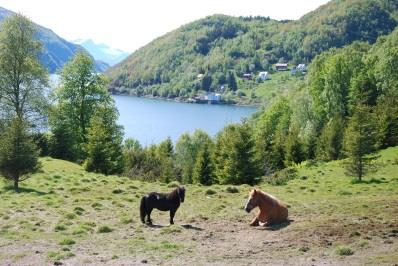 Fra 2009 avviklet fylkesmannens landbruksavdeling sin oppgave med planlegging av landbruksbygg.