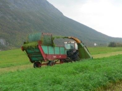 I en slik sammenheng er det derfor viktig at både landbruket, kommunene og de ulike bygdesamfunn klarer å se den gjensidige nytten i hverandre, og at alle bidrar til å opprettholde og bygge ut gode