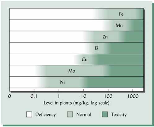 Planter trenger mange næringsstoffer Makronæring: N, K, P, Ca, S and Mg Mikronæring: Fe, Mn, B, Zn, Cu, Cl, Co, Mo, Ni All