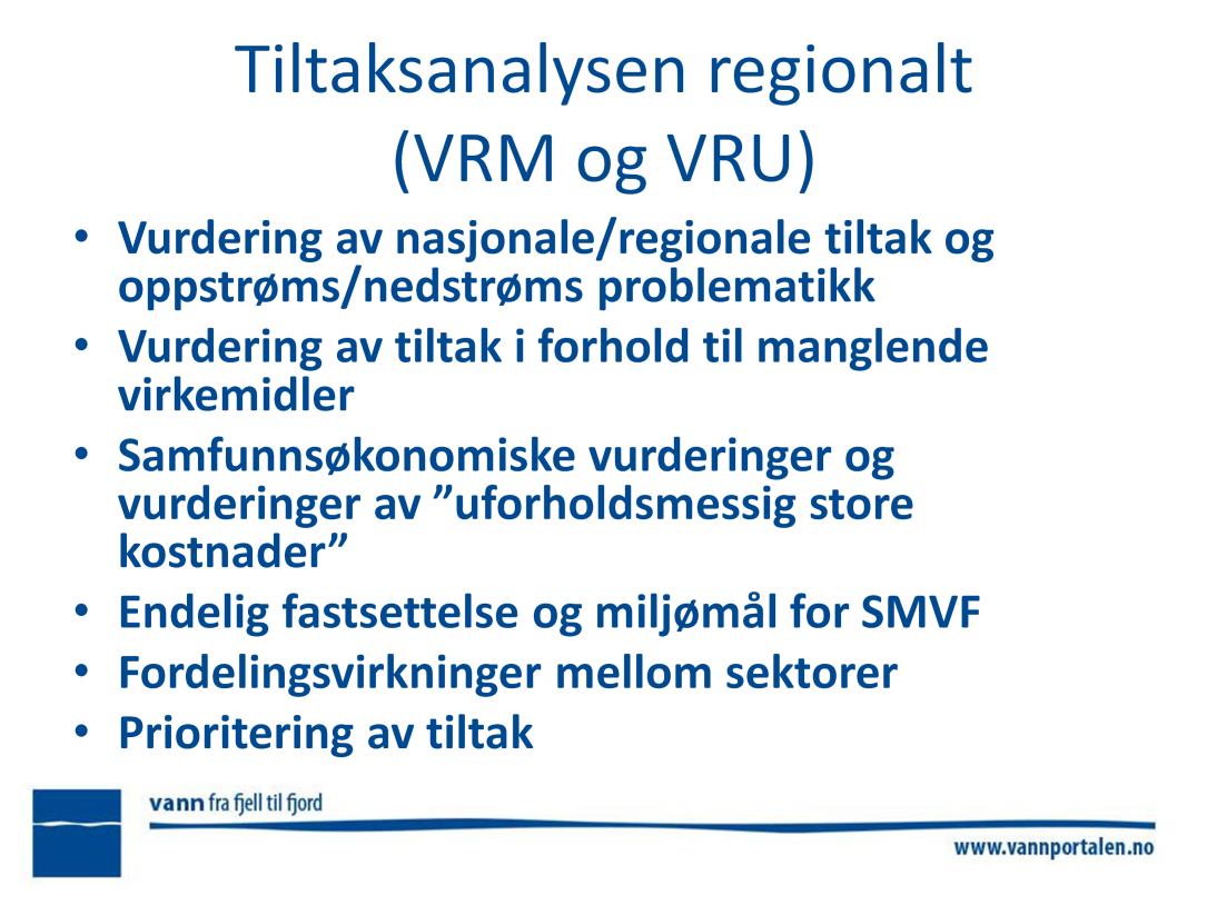 I tillegg til en ren sammensying av tiltaksanalysene for de enkelte vannområdene, er det flere forhold VRM/VRU må vurdere, før det regionale