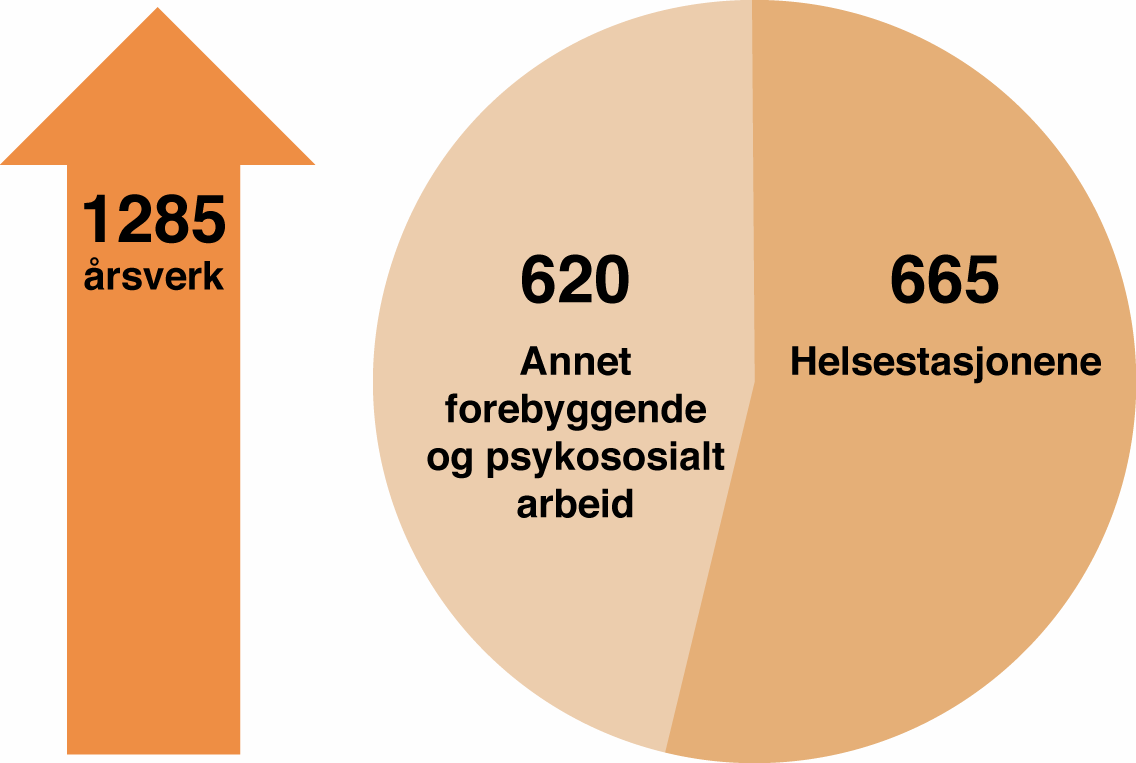 Kommunale tjenester Vekst i årsverk