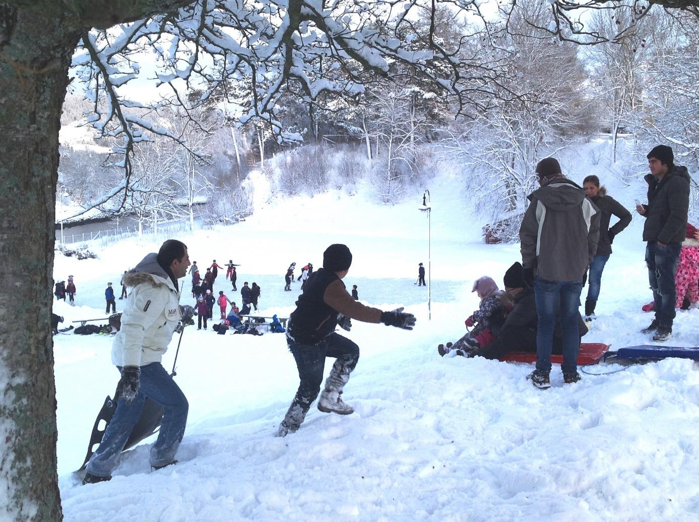 Mens Steinkjer kommune valgte Rismelen. Steinkjers prosjekt: Rismelen. Foto: Finn Rossing. Regionale aktører og forskere har bistått kommunene i løpet av prosjektet.