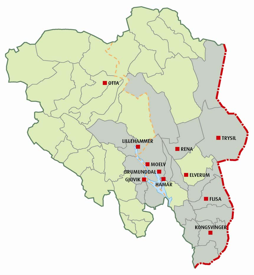 Eidsiva Nett -konsesjonsområder Regionalnett: R-nett hele i Hedmark og Oppland med unntak av Hadeland og Gudbrandsdalen Levert energi R-nett: 5,5 TWh Distribusjonsnett: D-nett