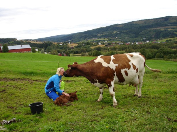 Tilbydernettverk er opprettet i mange fylker. I Nordland har det lenge eksistert et samvirke som formidler gårdsferie for barn og unge, Gårdsferie Nord BA.