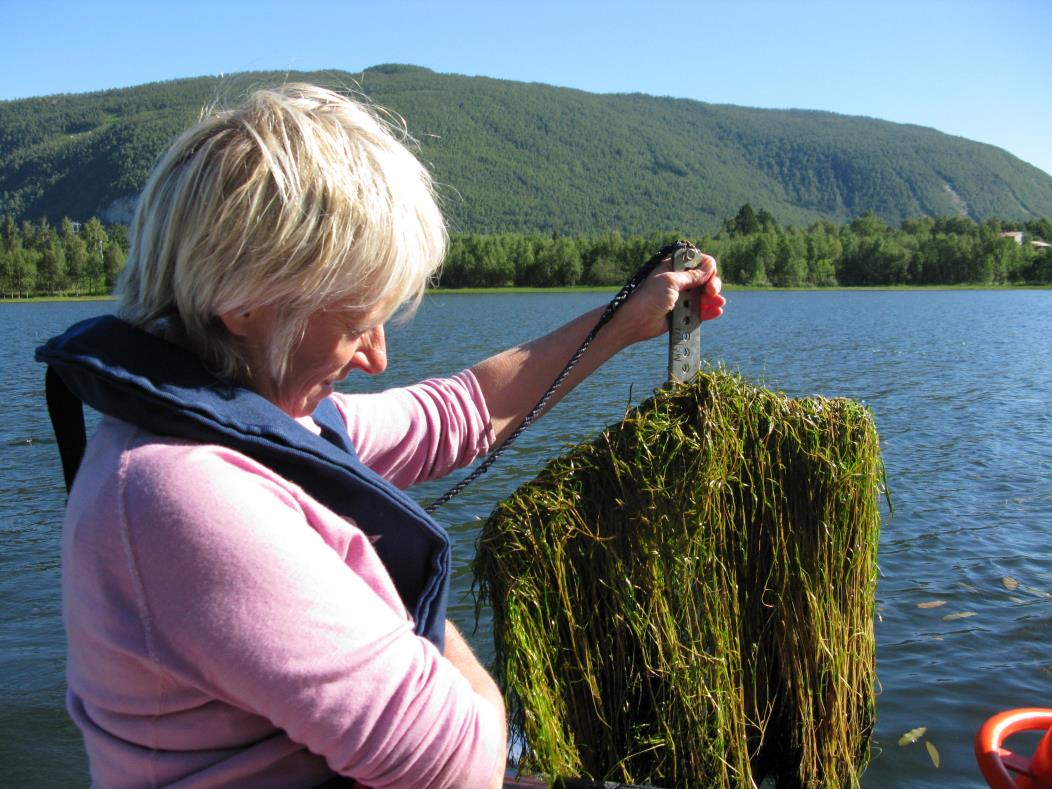 Vannplanter i innsjøer Klassifisering av økologisk tilstand Marit Mjelde, NIVA Foto: Hanne Edvardsen Kurs