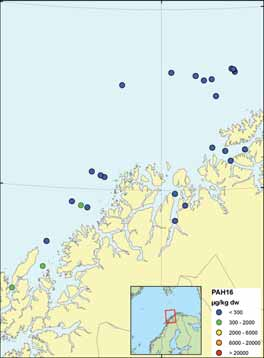 Blant annet ble nivåene til polyaromatiske hydrokarboner (PAH) målt i prøvene. PAH kan dannes som produkt av ulike forbrenningsprosesser og inngår også som del av råolje.