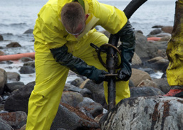 Miljøbark fra Bergene Holm AS er et rent naturprodukt av revet furu med fraksjon/findelingsgrad mellom 0-10 mm.