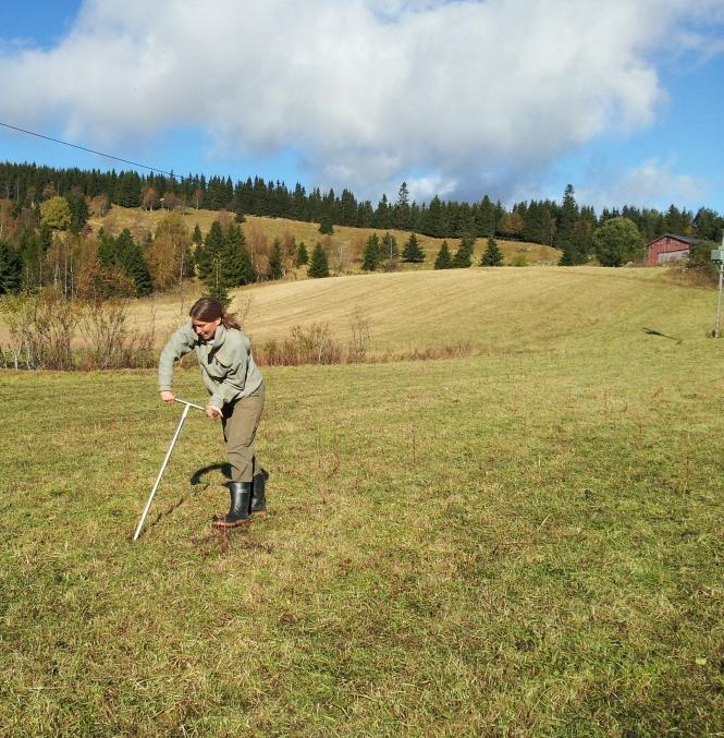 Jordkvalitet Viser kvaliteten på jorda, basert på