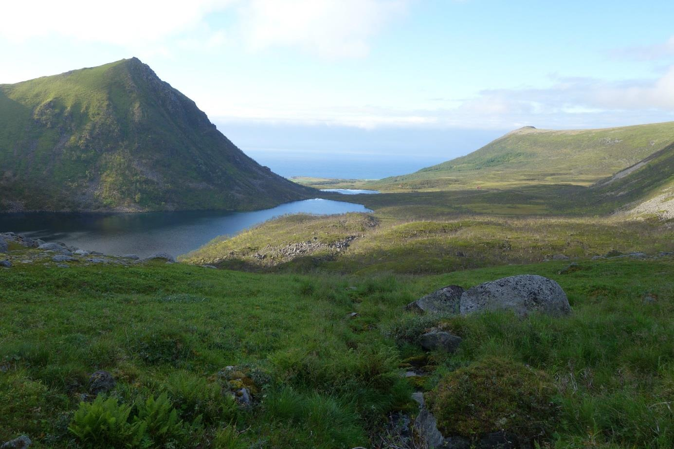 Andøya, Nordland Masteroppgave i Naturgeografi Mathias