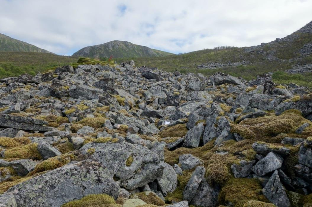 Kapittel 2 Kvartærgeologisk kartlegging Figur 2.10: Bildet viser en moulinkame lokalisert vest for Littjevatnet.