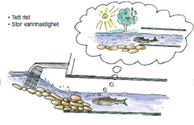 Metaller Miljøgifter - Vandringshinder for fisk