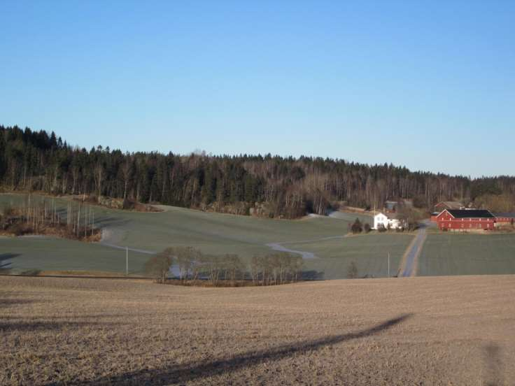 Dagens utfordringer angående arealbruk Øke dagens landbruksproduksjon med 1% per år i de neste 20 årene.