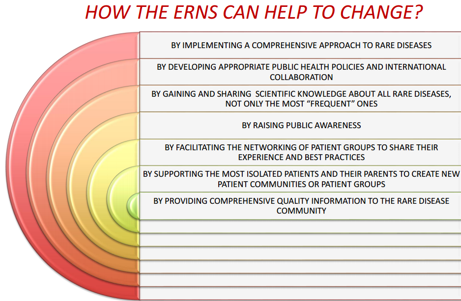 44 Hvordan kan ERNs bidra til endring?