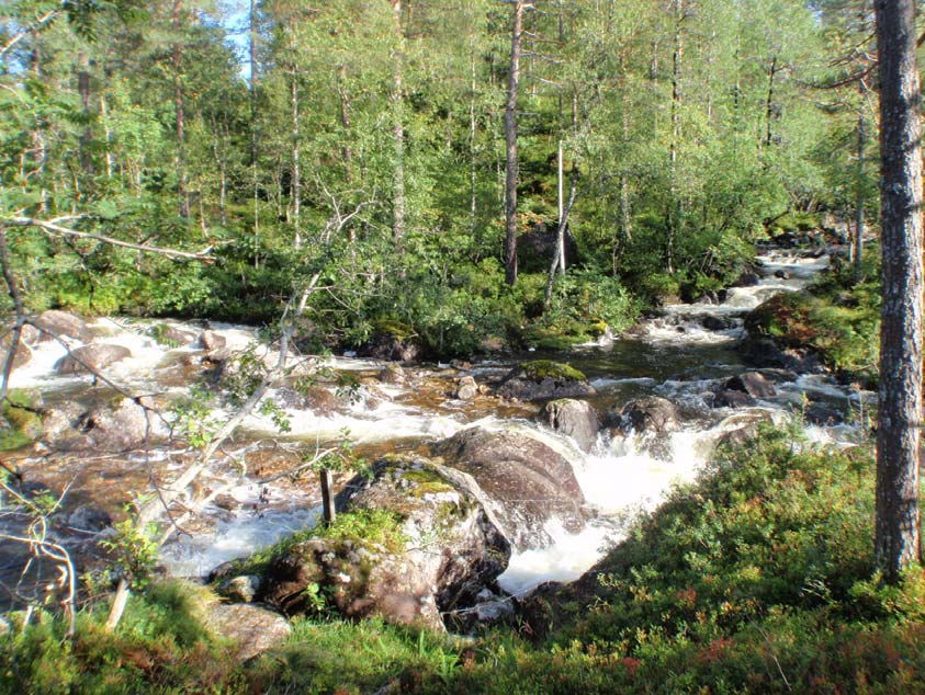 8 Bilde av samløpet mellom Røyrvik elva og Langevassgrova.