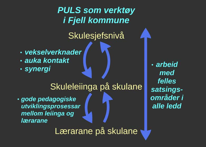 1.3 Trygg i Fjell Skulesjefen har sidan 2014 intensivert arbeidet for å få etablert betre verkemiddel mot mobbing og krenkande åtferd mellom elevane.