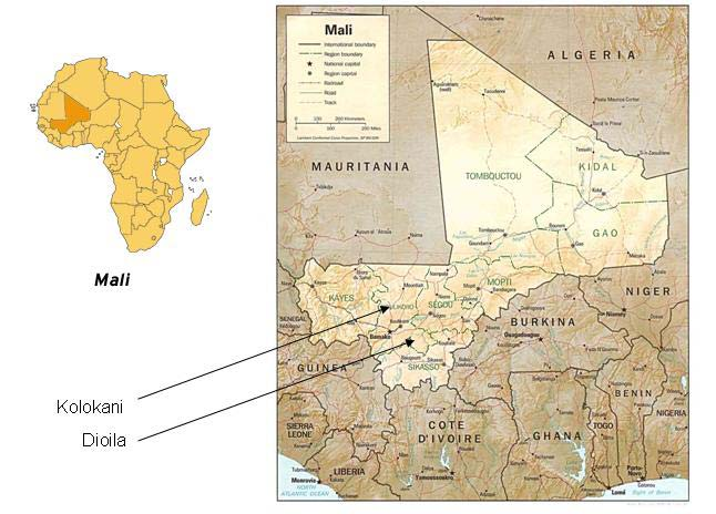 Etnofarmakologiske studier i Mali omkringliggende land, da spesielt i Elfenbenskysten, vanskeliggjort videre utvikling (United-Nations-Development-Program 2005). Figur 7.