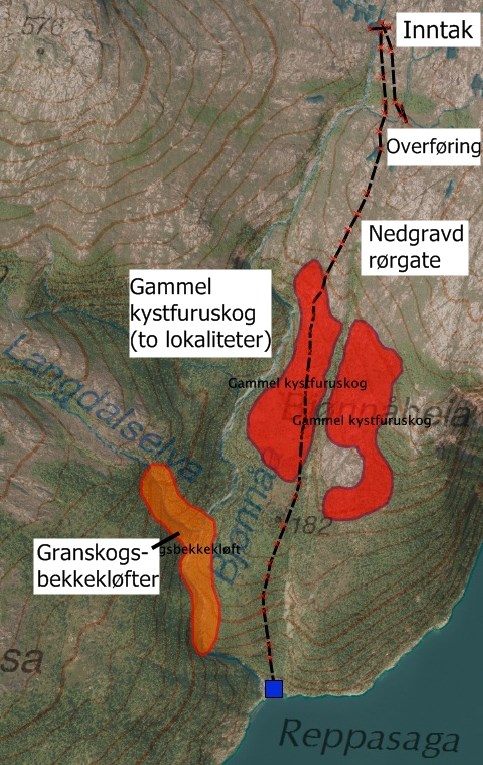 Det oransje arealet viser fuktkrevende skogstyper knyttet til bekkekløfter og fosser med verdi B, mens det røde arealet avgrenser to forekomster av kystfuruskog med verdi A.