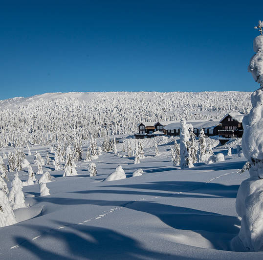 På DNB Eiendoms nye hjemmeside kan du se tomten igjen og