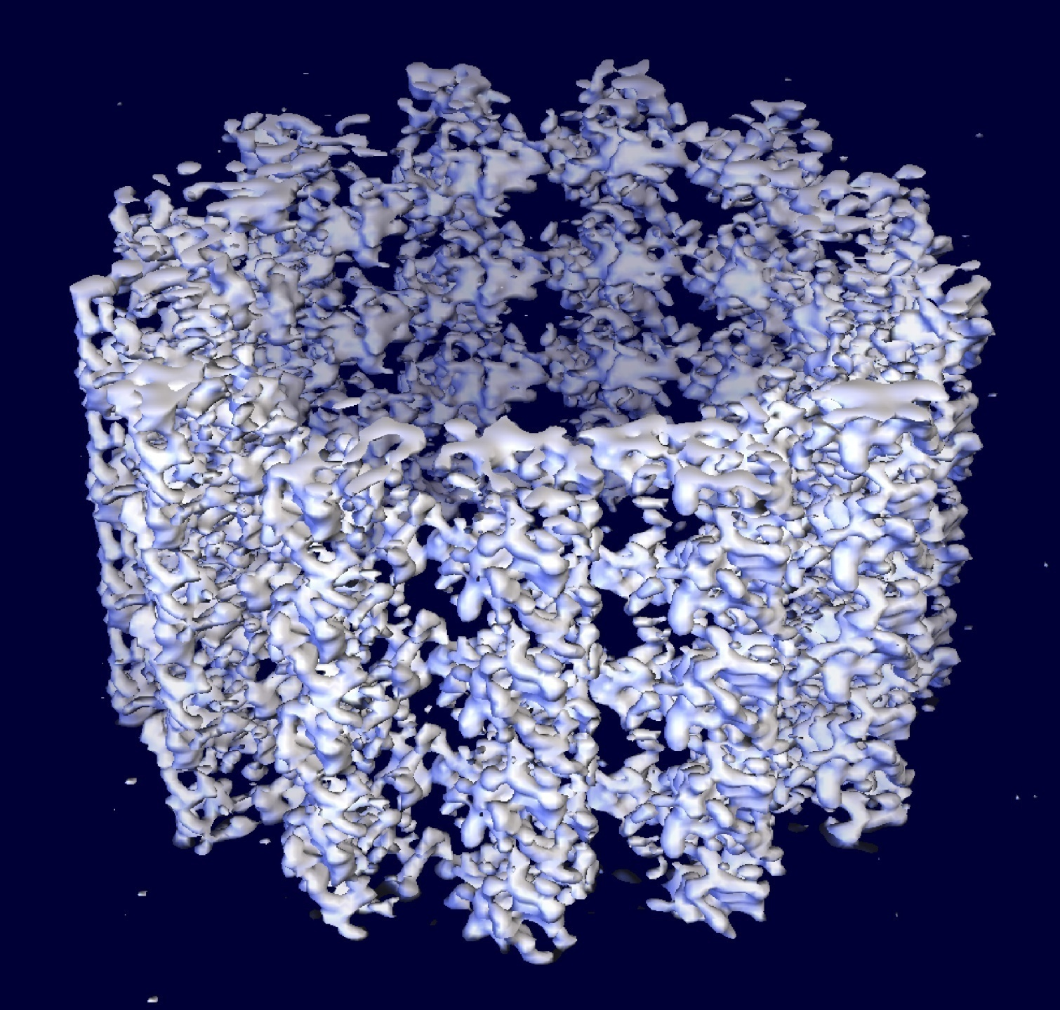 3D Microtubule Reconstruction http://www-vis.lbl.