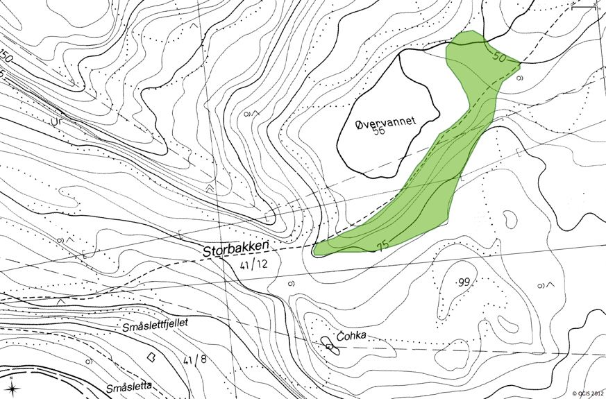 8.10 Lokalitet 10. Skorpa, ved Øvrevatnet, kalkskog Naturtype (%): F03 Kalkskog Utforming: F0303 Kalkbjørkeskog Verdi: C Undersøkt dato: 18.07.