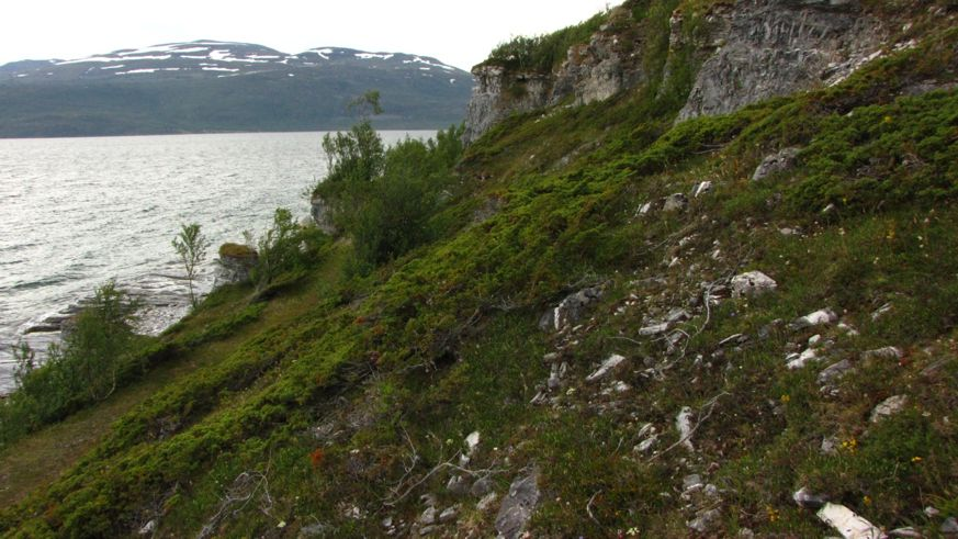 Figur 31. Rasmarkene ved Breibenkan på sørsiden av Skorpa.