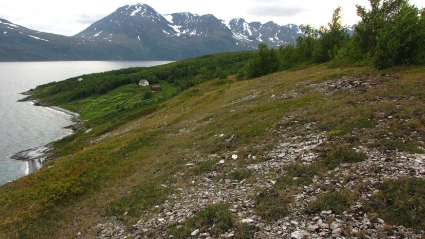 Figur 32. Rasmarker med finmateriale av dolomitt på toppen av Småslettfjellet. Dette området er voksested for krypsivaks. Gården Storsletta sees i bakgrunnen.