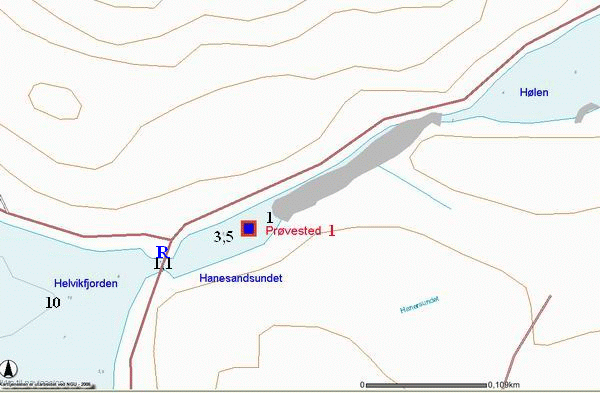 LOKALITETEN HANESANDSUND Dette er et ca 300 m lang og ca 10-30 m bred og grunn kanallignende forbindelse mellom Hølen i nordøst og Helvikfjorden mot sørvest (figur 3).