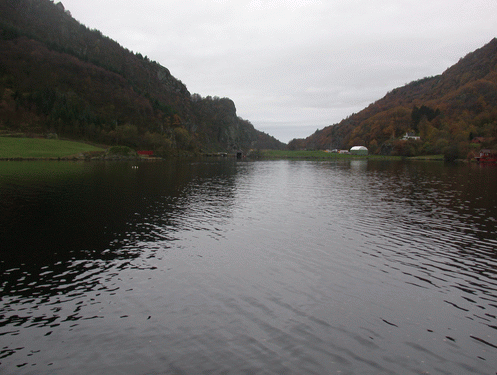 Helt innerst i Sellegrodsfjorden er det grunt, og bunnen er nokså flat og øker slakt nedover til 20 m dyp ca 600 m ut i fjorden (figur 5).