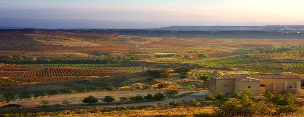 på ca 2,5 time fra Barcelona. Vinproduksjonen er sentralisert rundt byen Barbastro. Navnet Sommontano er latinsk og betyr rett ved fjellet ( Pyrineene).