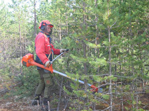 10. Retningslinjer for tildeling av SMIL- og NMSK-tilskudd 2012 Landbrukskontoret Hobøl,