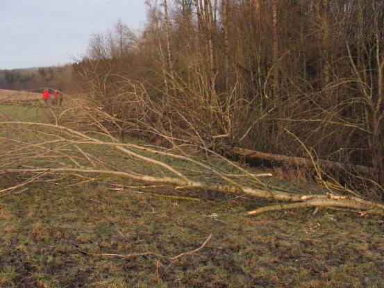 1-2 meter, og deretter skal det foretas en tynning på minst 3 meter inn i skogen.