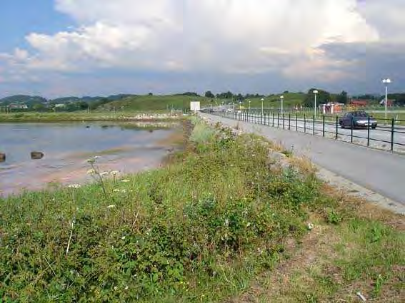 Figur 2.3. Vegtraséen langs Sømmevågen er ca. 450 meter lang. Foto: Anne-Trine Benjaminsen. 2.2 Naturtyper Strandeng og strandsump betegnes som viktig naturtyper (Direktoratet for naturforvaltning 1999a).