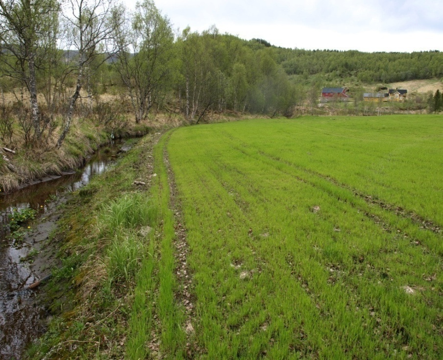 Landbruksforurensning Samlerapport fra undersøkelser før 2000 Nyere undersøkelser Landbruksinformasjon fra kommunene Areal