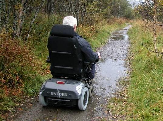 særlig ifht flere eldre og innvandrere styrke faktorer som bidrar