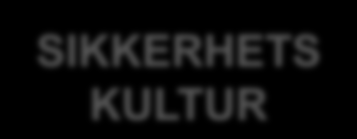 Vi skifter ofte fra hierarkiske lederskap, til mer flat struktur hvis det kreves for å møte spesielle utfordringer og/eller farer Reporting Culture Vi skal ha et organisatorisk klima som gjør at alle