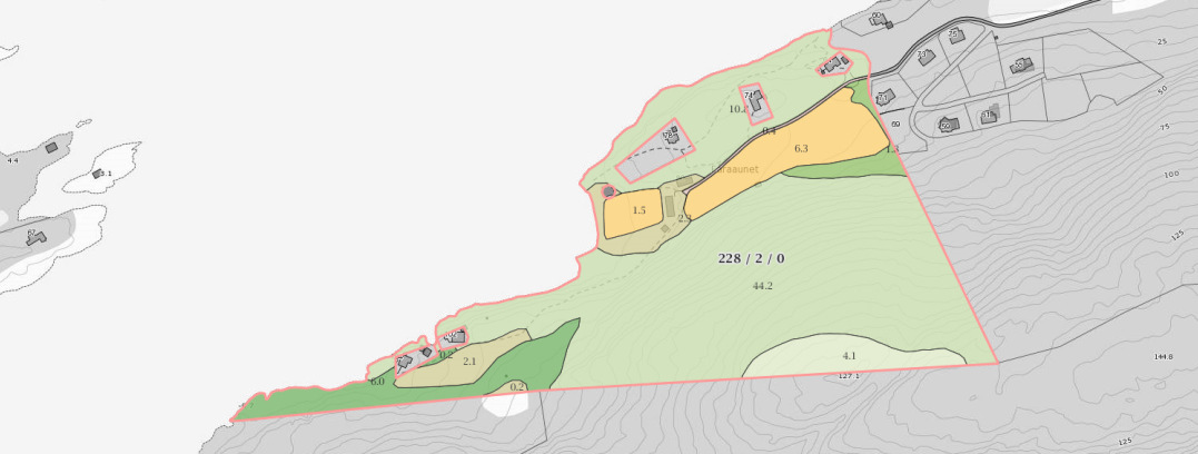 1. Bakgrunn for planarbeidet Solem Arkitektur AS er engasjert av Ragnhild Eggen og Jonas Viken til utarbeidelse av privat detaljregulering for eiendommen Fåraaunet, gnr 228 bnr. 2 i Levanger kommune.