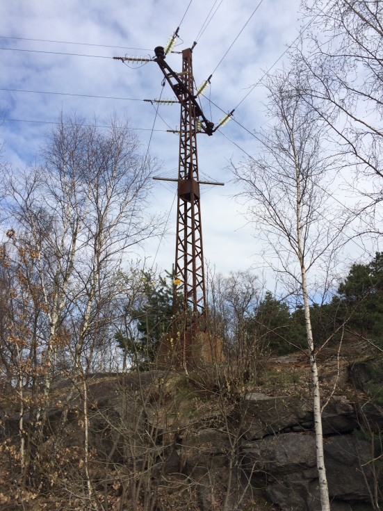 1 Sammendrag Agder Energi Nett AS (AEN) søker i medhold av Energiloven 3-1 om konsesjon for ny luftledning og kabel på 132kV nivå fra Hallandsbru transformatorstasjon til Huntonit AS.