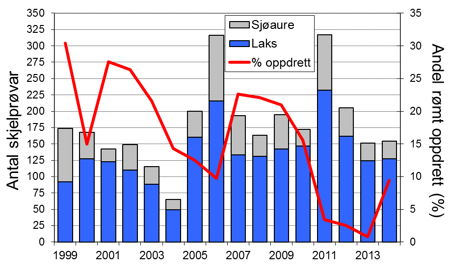 3.2. Rømt oppdrettslaks Frå perioden 1999-214 er det analysert skjelprøvar av til saman 2163 laks som vart fanga i Gloppenelva.