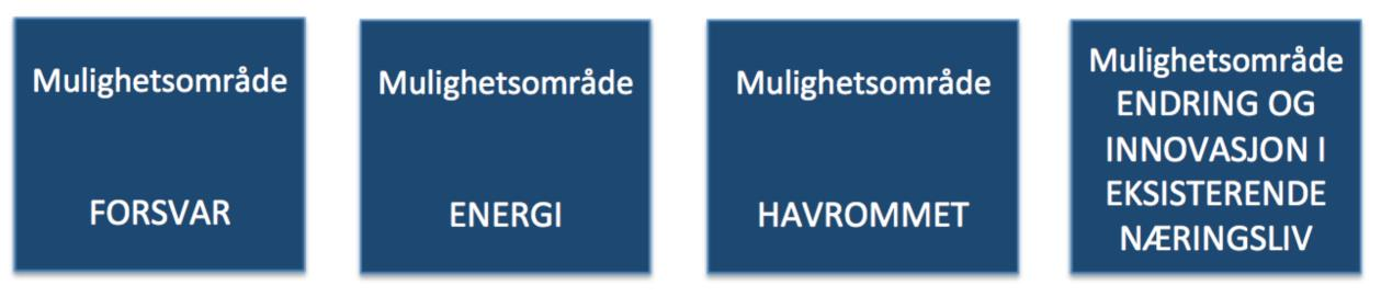 Figur 3. Valg av strategiske satsingsområder Hvert mulighetsområde beskrives nærmere under.