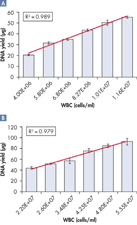 Lineært område De lineære områdene for QIAsymphony DSP DNA Blood- og Buffy Coat-applikasjoner ble evaluert ved bruk av blod- og buffycoatprøver med seks ulike hvit blodcelle (WBC)-tellinger for hver