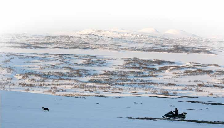 Sentrale publikasjoner fra FoU-prosjektet «Villrein, ferdsel og inngrep i Dovre-Rondane-regionen»: Flemsæter, F., Rønningen, K. & Holm, F.E., 2013. Dovrefjells moralske landskap. Rapport 4/2013.