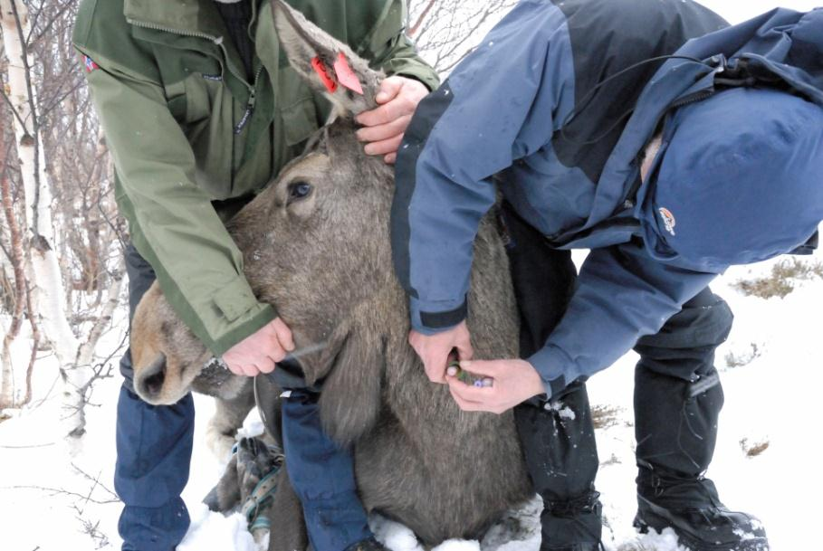 Naturmangfoldloven 8 Kunnskapsgrunnlaget Offentlige