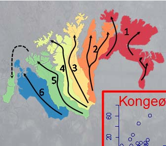 Konklusjon: En betydelig del av det rapporterte tapet i Finnmark synes å skyldes variasjon i næringsressurssituasjonen -reintetthet -klimatiske forhold Kadaverfunn i Finnmark -2 2 6 Kongeørn -2 2 6