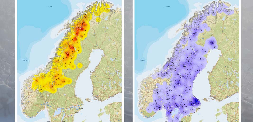 6 % 11 kalv per ind. per år (Sverige) Ulv.2 %?